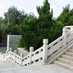 五蓮花欄桿石 護欄石供應(yīng)