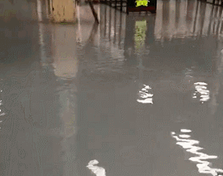 福建水頭石材市場拒絕水逆，石材人要遇水則發(fā)&hellip;&hellip;