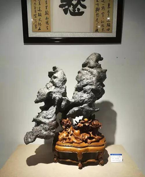 安徽首屆奇石文化交流博覽會開幕，熱乎乎的金獎都在這里了！