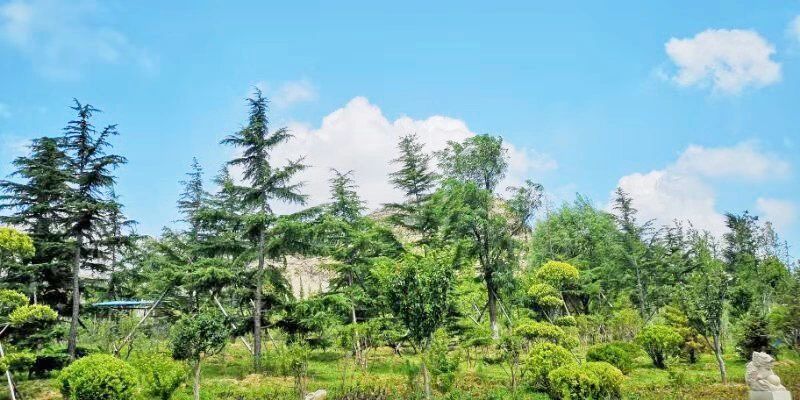 礦山環(huán)境&ldquo;開發(fā)式治理&rdquo;之路如何走？