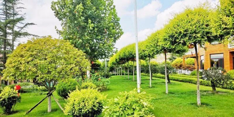 礦山環(huán)境&ldquo;開發(fā)式治理&rdquo;之路如何走？