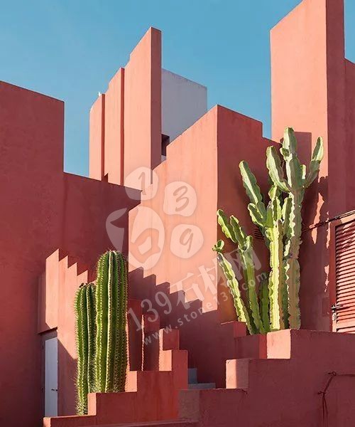 2019年流行的&ldquo;珊瑚橘&rdquo;主打色調