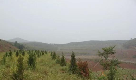 河南滎陽(yáng)南部石材礦山現(xiàn)狀：生態(tài)修復(fù)初見(jiàn)成效