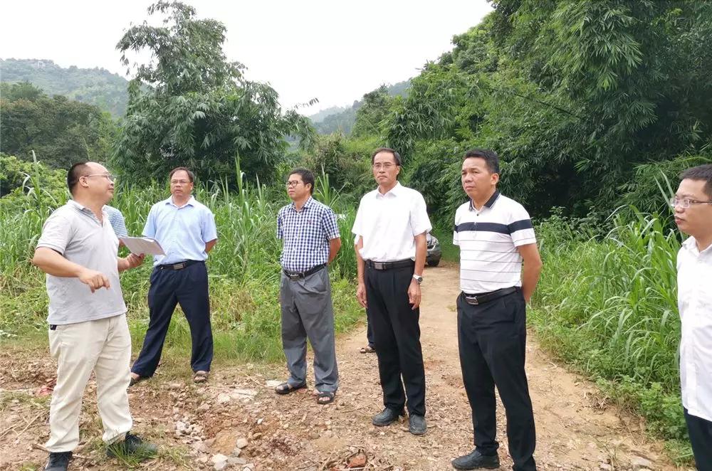 聚焦生態(tài)環(huán)境問題，局長到岑溪市督導檢查石材加工區(qū)問題