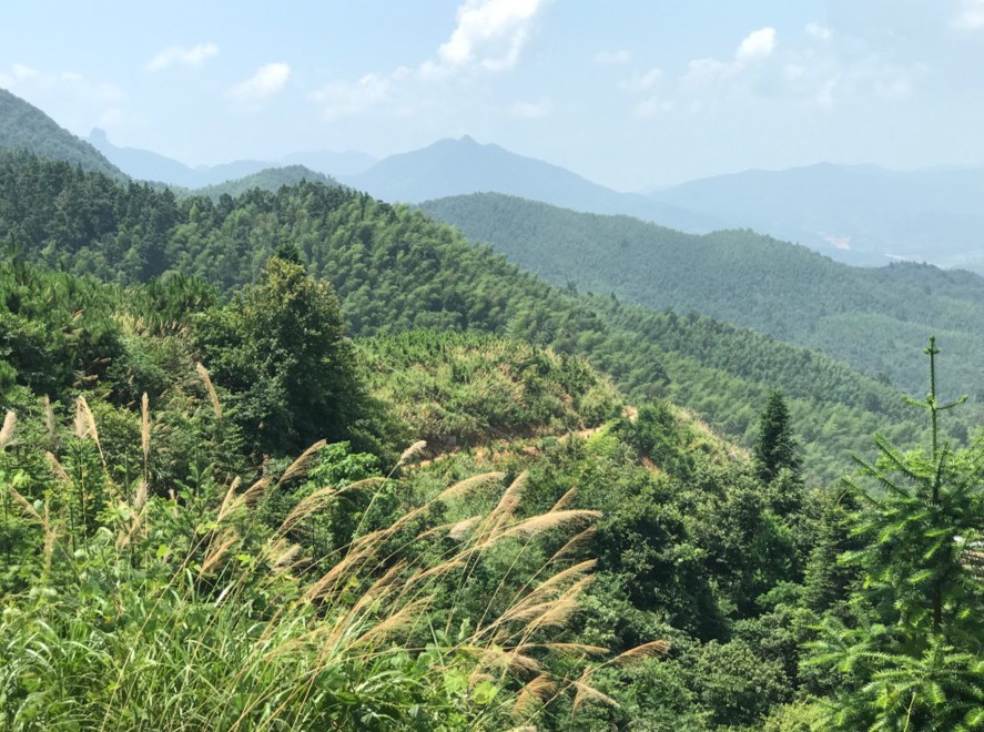 富強(qiáng)石材董事長(zhǎng)彭宜斌:“綠色礦山——可持續(xù)發(fā)展勢(shì)在必行”演講紀(jì)實(shí)