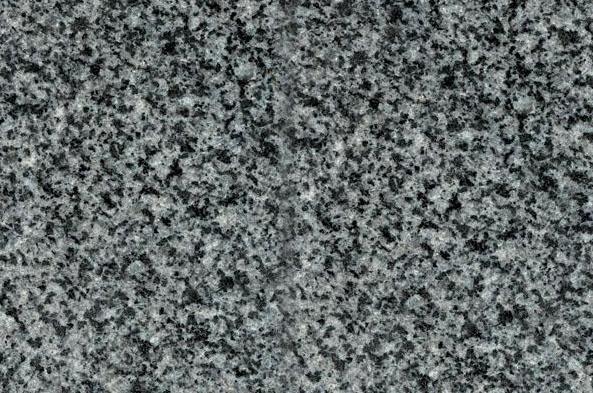 中國(guó)小藍(lán)寶(屏南654)替代長(zhǎng)泰芝麻黑