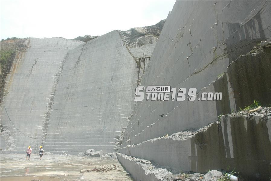 中國(guó)小藍(lán)寶(屏南654)替代長(zhǎng)泰芝麻黑