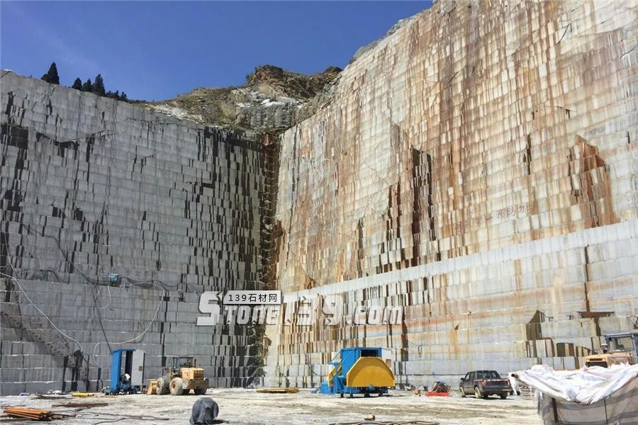 中國(guó)小藍(lán)寶(屏南654)替代長(zhǎng)泰芝麻黑