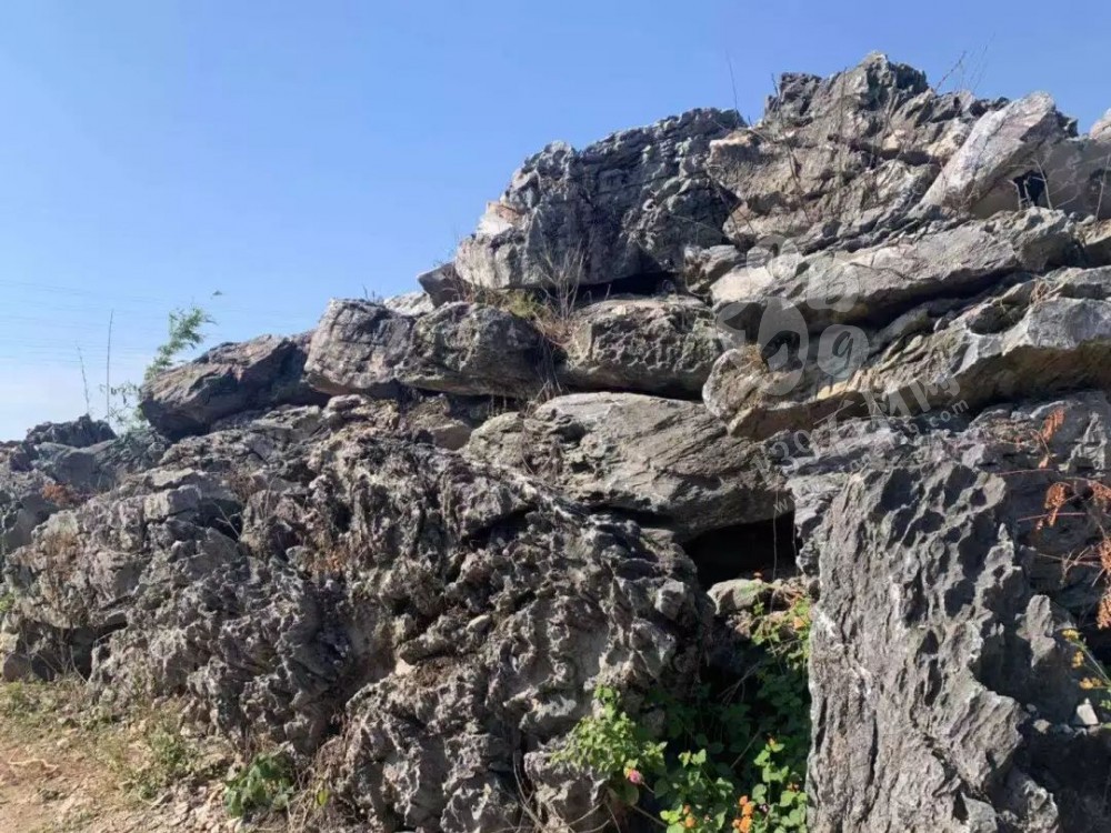 廣東英德石園林造景常用石材欣賞！