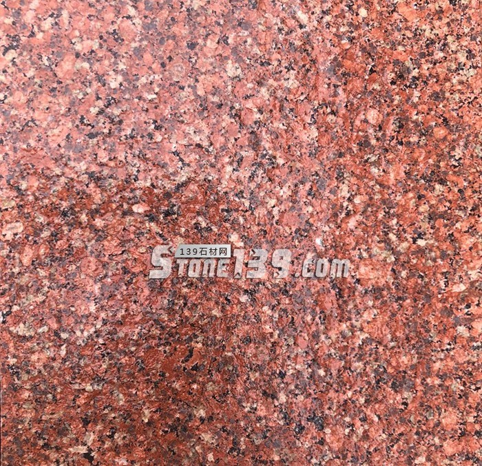 水頭市場“印度紅”遭瘋搶，搶不到也別慌，還有國產(chǎn)印度紅！