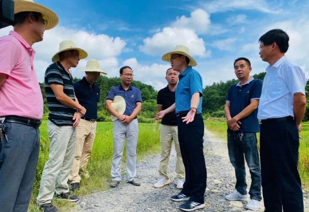 江西省安福縣委書記等領(lǐng)導(dǎo)一行蒞臨方通石業(yè)視察指導(dǎo)！附江西吉安新品青石欣賞！ 