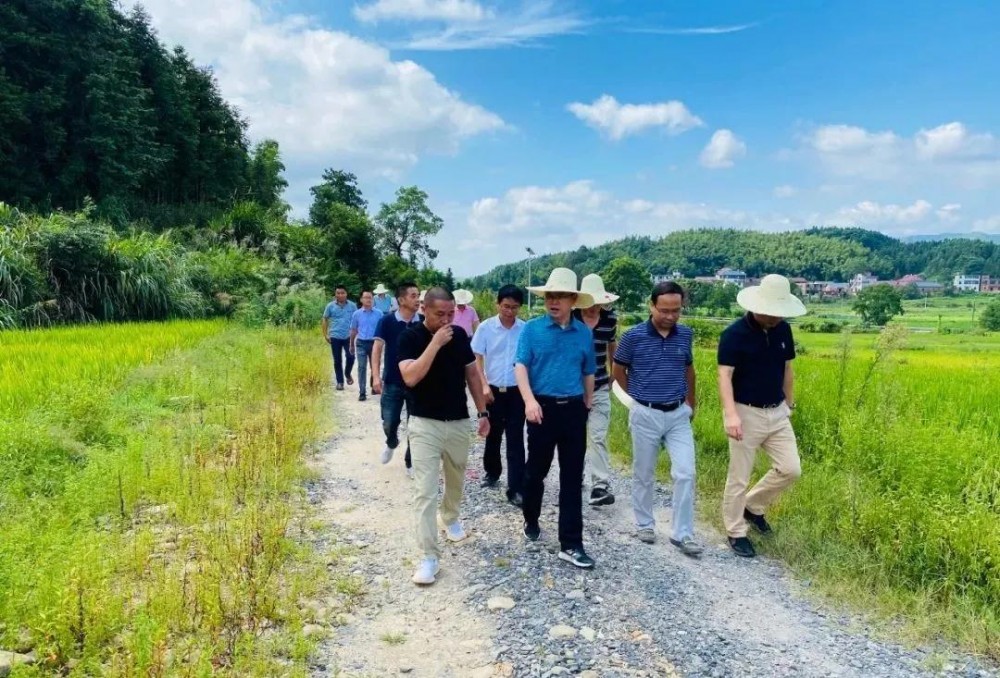 江西省安福縣委書記等領(lǐng)導(dǎo)一行蒞臨方通石業(yè)視察指導(dǎo)！附江西吉安新品青石欣賞！ 