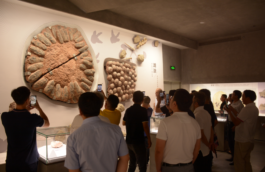 全國工商聯(lián)石材業(yè)商會四屆二次會長（擴(kuò)大）會議在海西石材城成功召開