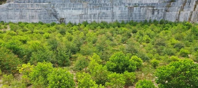 漳浦問題礦山生態(tài)圓滿修復(fù)，全縣石材企升級(jí)27家企業(yè)復(fù)電復(fù)產(chǎn)，獲中國環(huán)境報(bào)好評(píng)