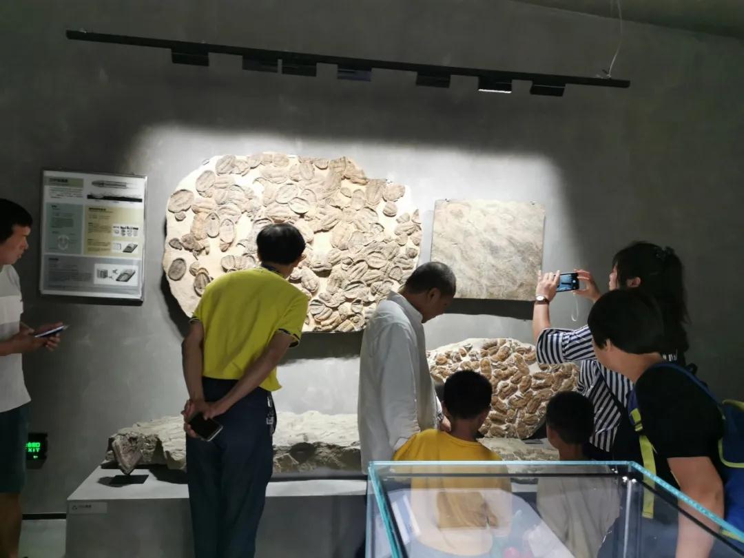 石材文化的分享者｜晉江、南安兩地作協(xié)主席與作家蒞臨水頭參觀指導