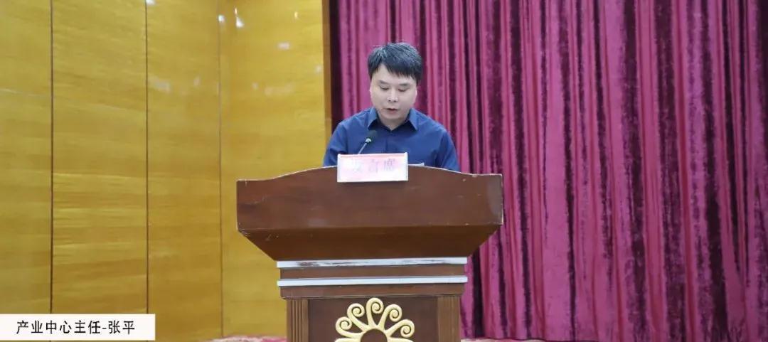 麻城召開石材產(chǎn)業(yè)園提標(biāo)升級(jí)工作會(huì)，檢驗(yàn)升級(jí)大行動(dòng)階段成果