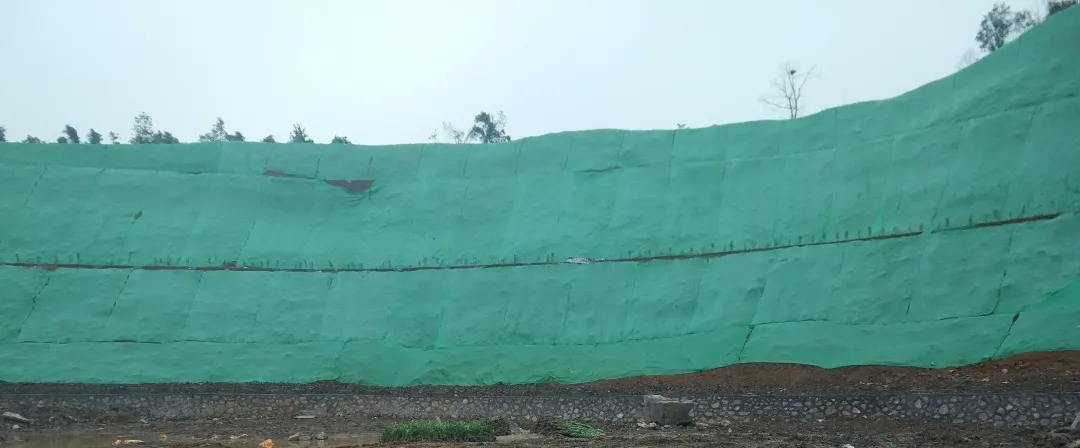 浙江海寧市小尖山廢棄礦山生態(tài)修復(fù)項目通過交工驗收