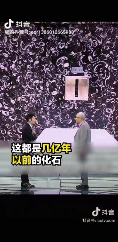 貴陽(yáng)機(jī)場(chǎng)廁所洗手臺(tái)化石是哪個(gè)石材（海貝花大理石）