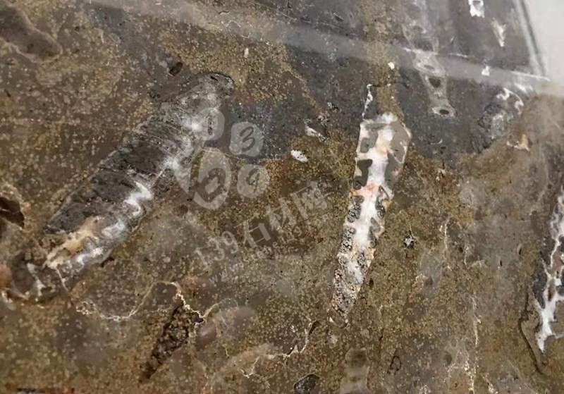 貴陽(yáng)機(jī)場(chǎng)廁所洗手臺(tái)化石是哪個(gè)石材（海貝花大理石）