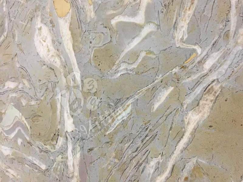 貴陽(yáng)機(jī)場(chǎng)廁所洗手臺(tái)化石是哪個(gè)石材（海貝花大理石）