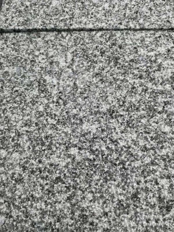 傻傻分不清楚的鐘山青與芝麻黑，到底有什么區(qū)別？