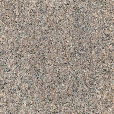 紫金鉆花崗巖（咖啡色 姿色系列國(guó)產(chǎn)特色花崗巖）