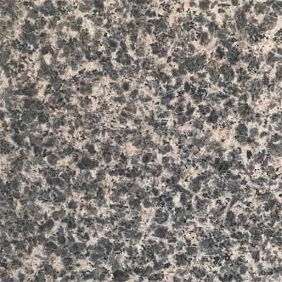 黑豹豹皮花花崗巖