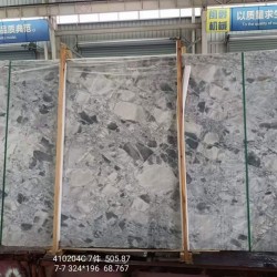 巴西魚(yú)肚灰特價(jià)新款